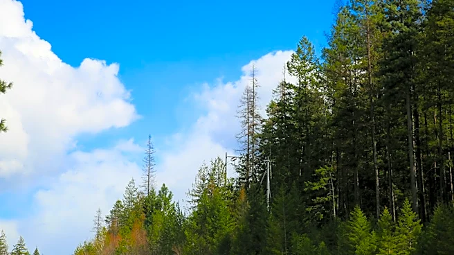 Red Flag Warning for Idaho and Oregon: Lightning, Winds