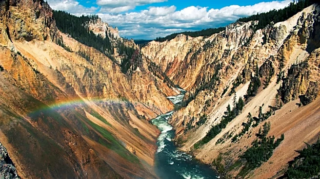 Magnitude 4.2 Earthquake Strikes Near Yellowstone Volcano