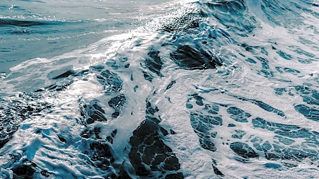 Kelvin Waves Explained: El Niño’s Hidden Ocean Pulse