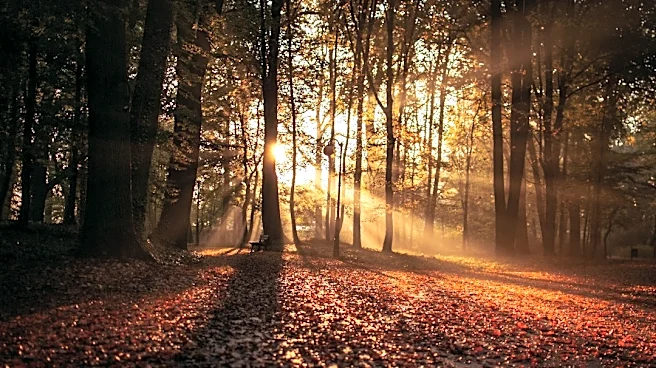 Autumnal Equinox Marks Start Of Fall 2026
