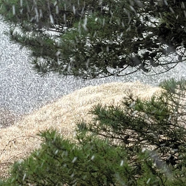 El Niño Brings Wetter Winter to U.S. Coasts