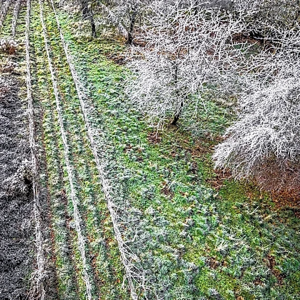 Understanding Cold Snaps and Their Impact