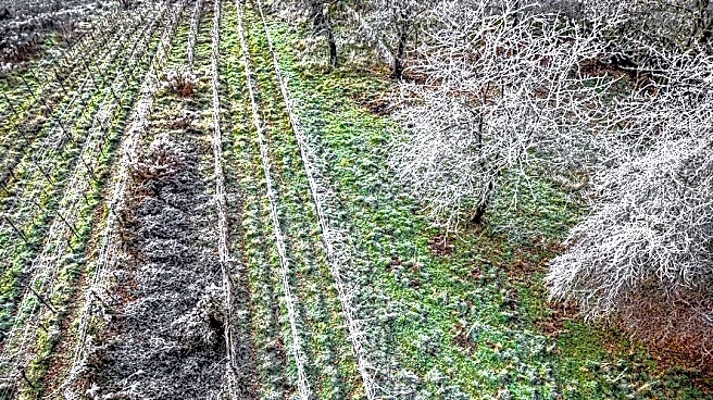 Understanding Cold Snaps and Their Impact