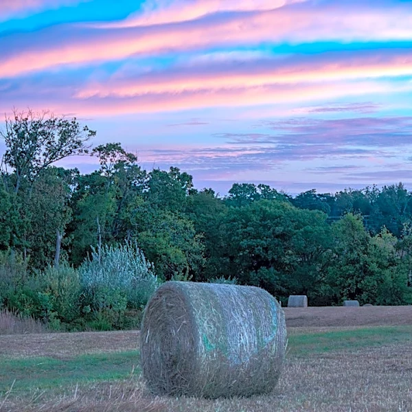 Virginia Declares State of Emergency Over Hay Shortage Amid Drought