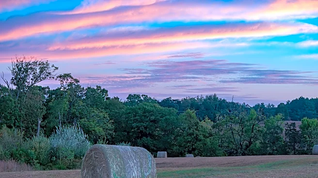 Virginia Declares State of Emergency Over Hay Shortage Amid Drought