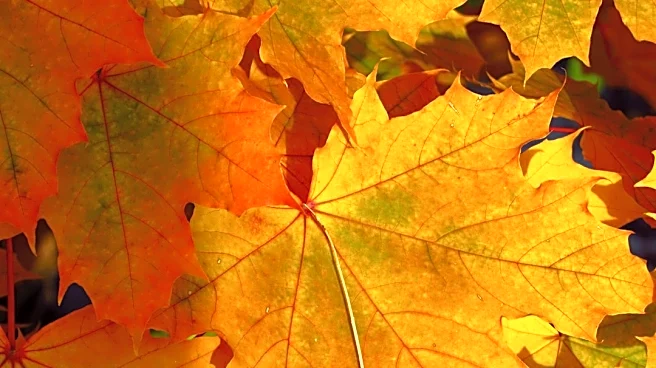 Spectacular Fall Colors Predicted Across U.S.