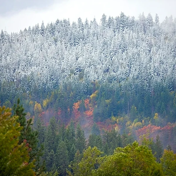 Rainy System Moves East, Warm Week Ahead in Idaho