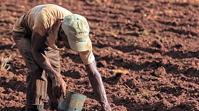 How El Niño Impacts Global Food Commodities