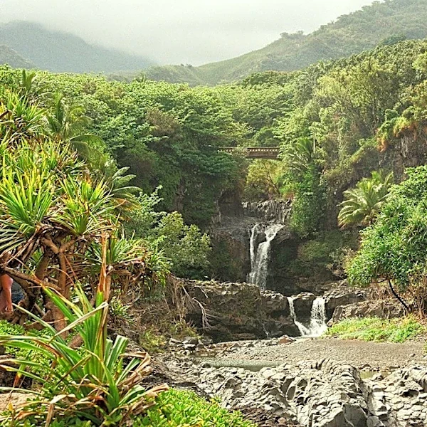 Drought Conditions Persist in Hawaii County