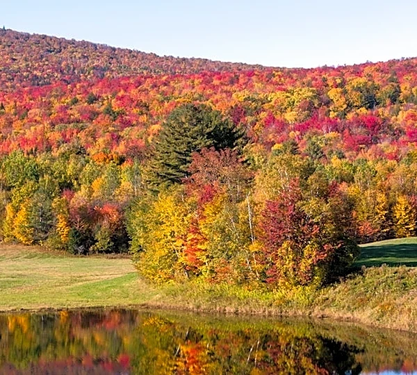 Central Appalachians to See Vibrant Fall Colors in 2026