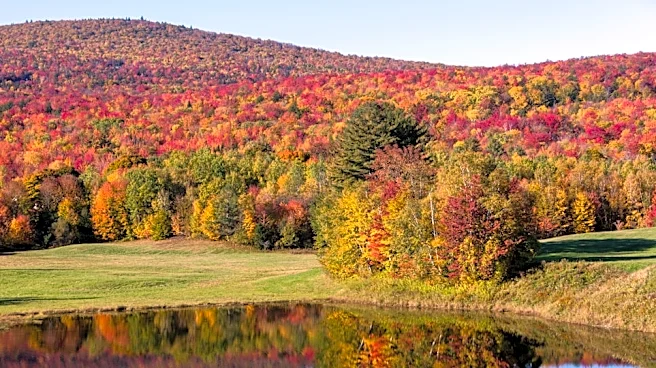 Central Appalachians to See Vibrant Fall Colors in 2026