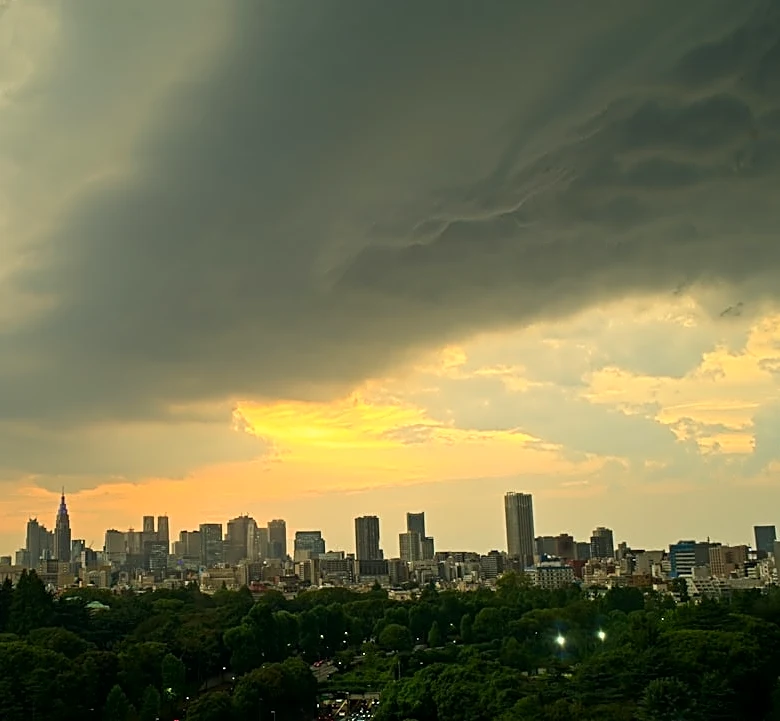 Global Cities Face Extreme Weather Challenges