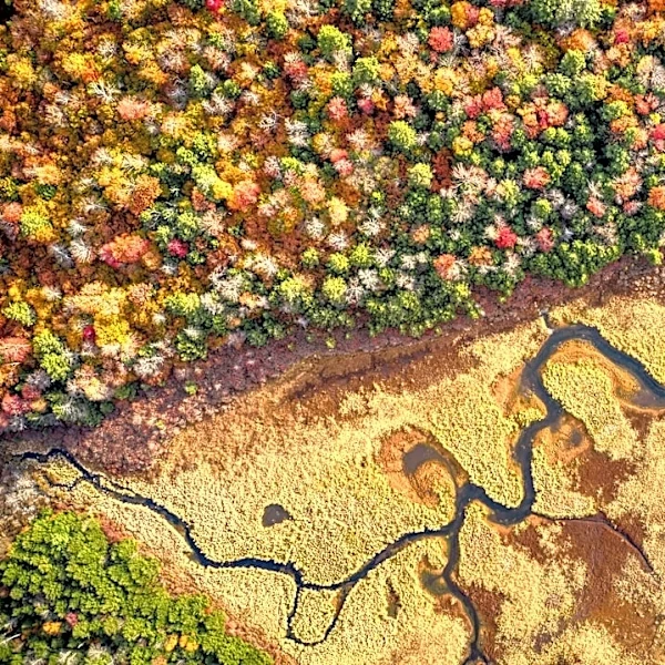Exceptional Drought Conditions Persist in Pennsylvania