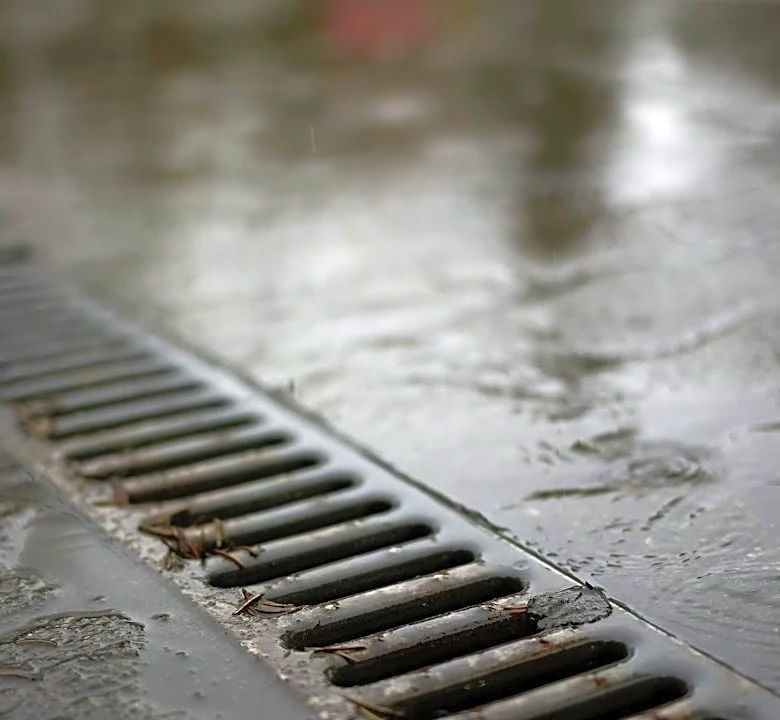 Drainage Issues Persist in Springfield Amid Seasonal Changes