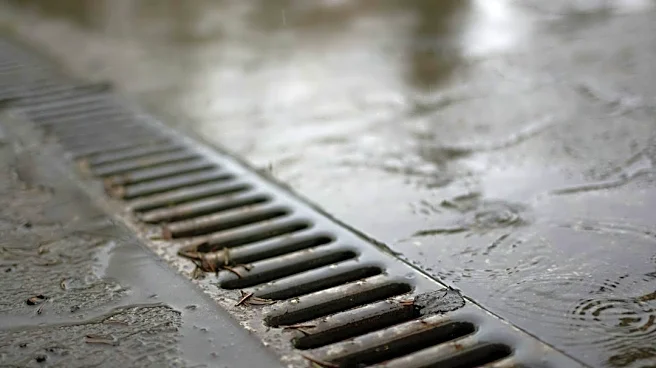 Drainage Issues Persist in Springfield Amid Seasonal Changes