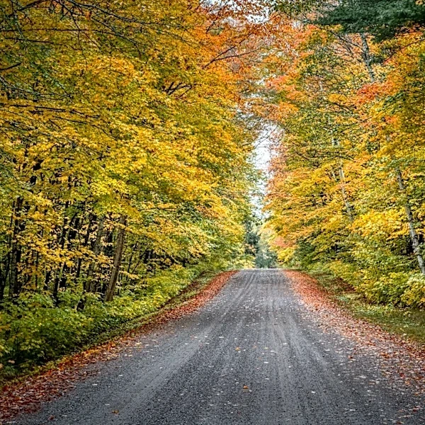Wisconsin Fall Foliage Peaks Late September to Mid-October