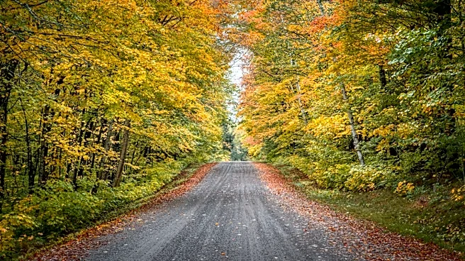 Wisconsin Fall Foliage Peaks Late September to Mid-October