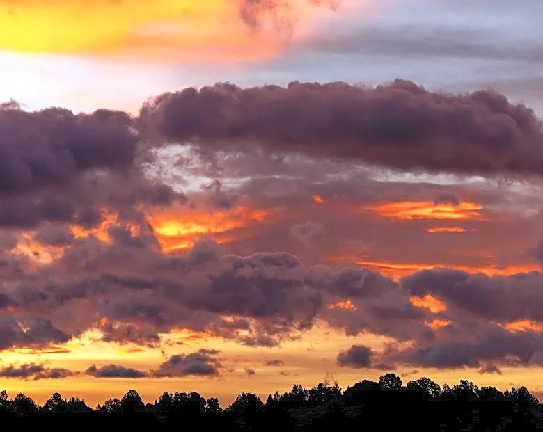 Strong Storms and Heat Expected in Alabama