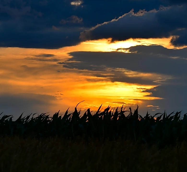 Cooler Weather Brings Fall Feel to Nebraska