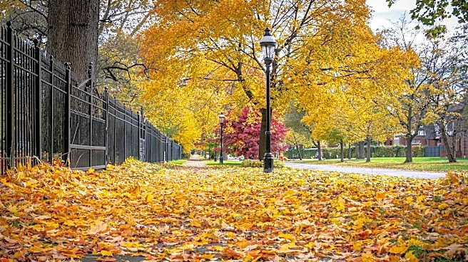 El Niño Expected to Intensify This Fall in the U.S.