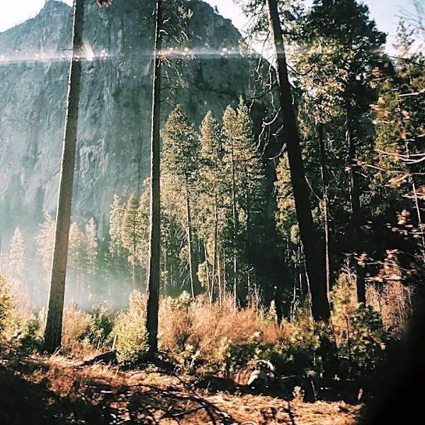 Helicopter Crash Kills Two During Yosemite Wildfire Fight
