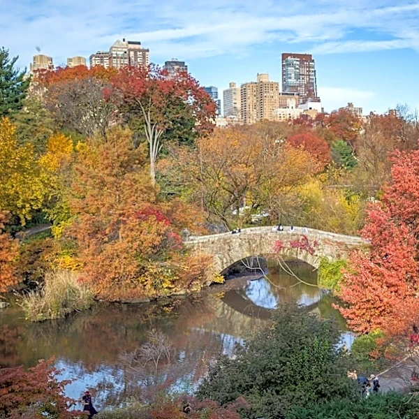 Fall Foliage Peaks in NY, NJ, CT This October