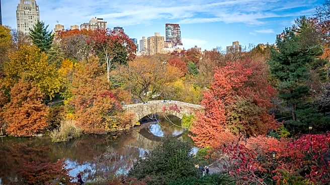Fall Foliage Peaks in NY, NJ, CT This October
