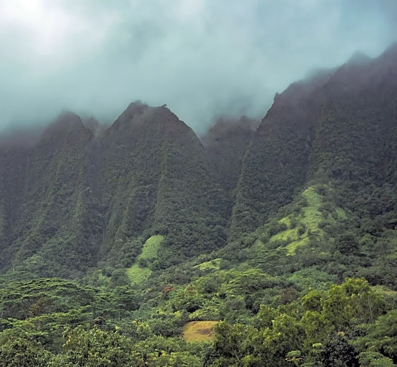 Tropical Disturbance May Bring Heavy Rain to Hawaii
