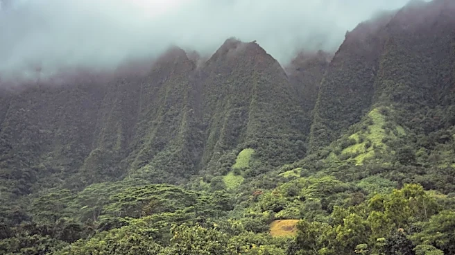 Tropical Disturbance May Bring Heavy Rain to Hawaii