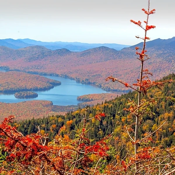 Adirondacks Lead NY's 2026 Fall Foliage Season