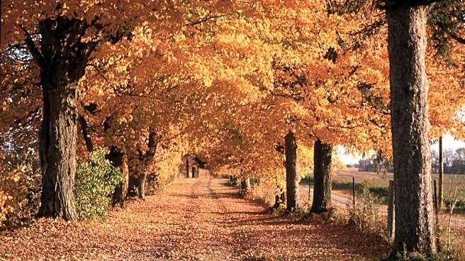 Fall 2026 Begins with Equinox on September 22