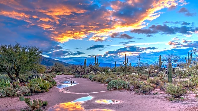 Arizona Fall Forecast: Above-Average Rain Expected