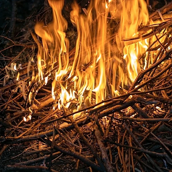 Tabor Fire in Missouri's Mark Twain National Forest Under Control