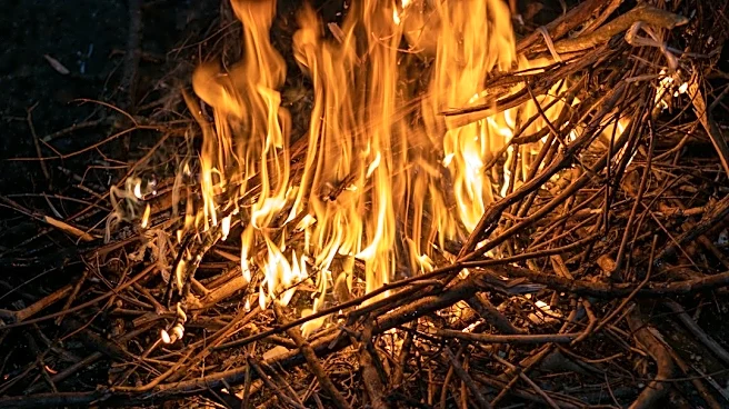 Tabor Fire in Missouri's Mark Twain National Forest Under Control