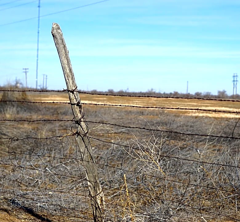 Texas Utilities Lag in Wildfire Mitigation Plans