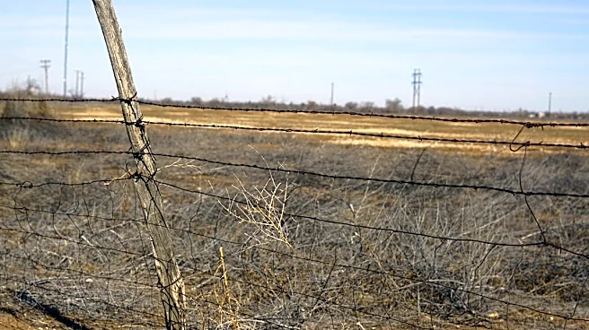Texas Utilities Lag in Wildfire Mitigation Plans