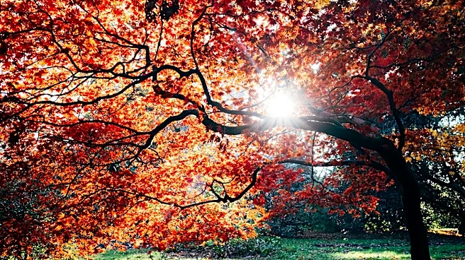 Understanding the Autumnal Equinox: A Seasonal Shift in the Sky