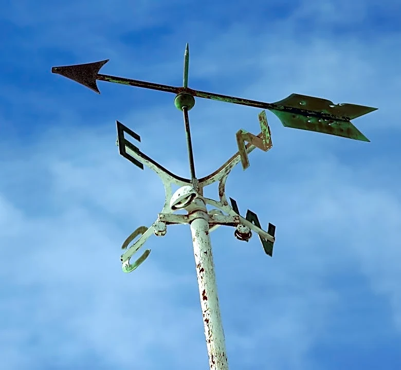 Understanding Weather Patterns: How Wind and Moisture Shape Local Conditions
