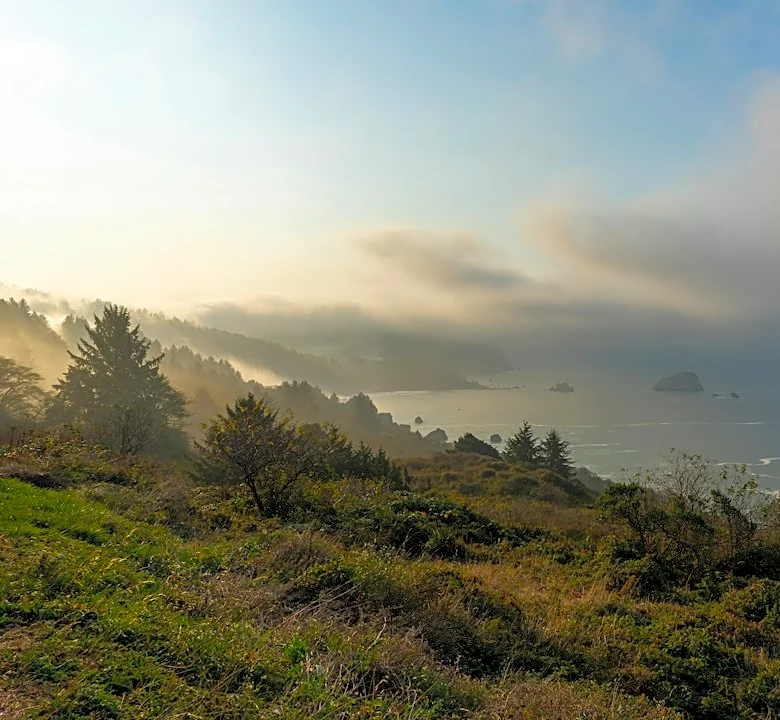 Record-Breaking El Niño Predicted for Mendocino County