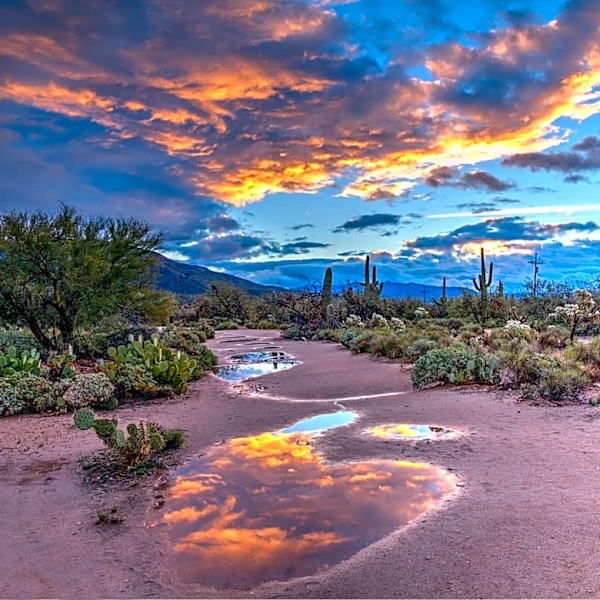 Arizona Fall Forecast: Cooler Temps, More Rain