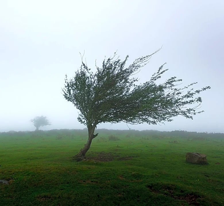 Scattered Storms Expected Tuesday with Severe Risks