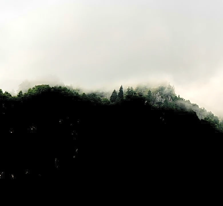 Fog and Drizzle Persist Across Black Hills Region