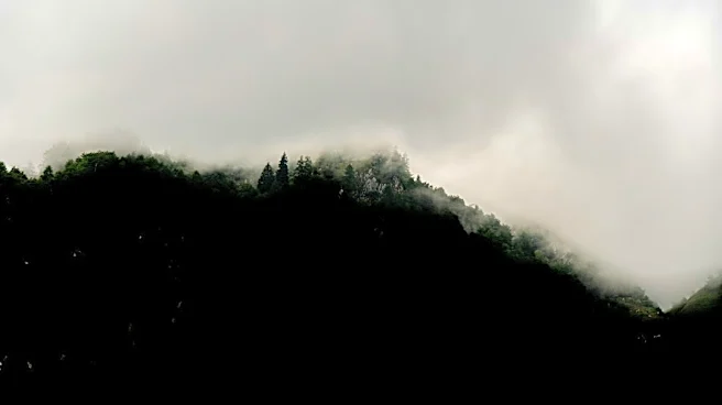 Fog and Drizzle Persist Across Black Hills Region