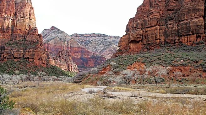 Rock Glaciers Key to Utah's Water Supply, Study Finds