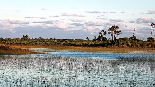 Corkscrew Swamp Faces Record-Low Water Levels