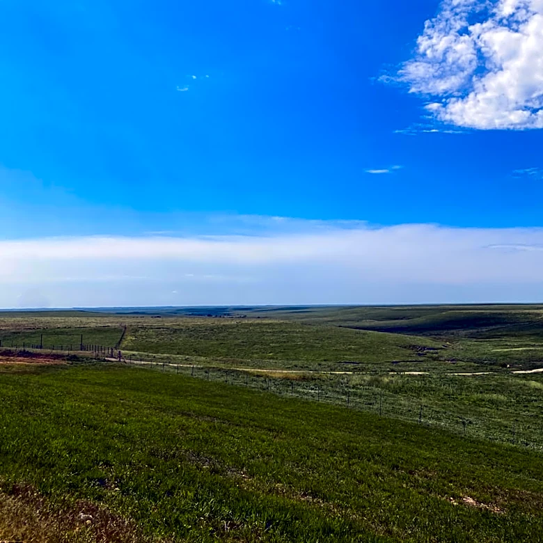 Great Plains Ranchers Use Fire to Protect Grasslands