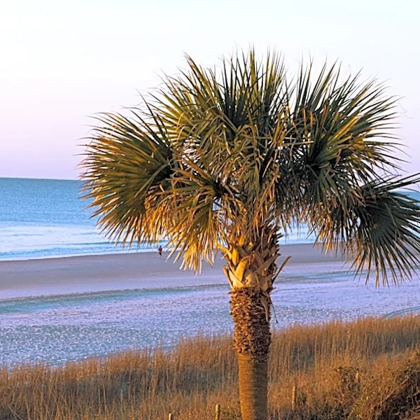 Cooler Fall Weather Arrives in South Carolina