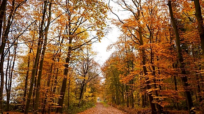 When Does Fall Officially Begin in the US?