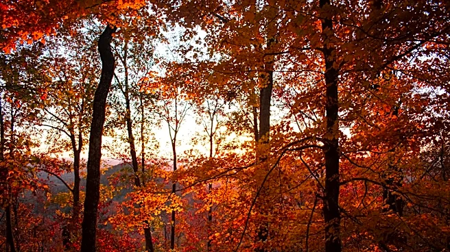 Georgia's First 50-Degree Mornings Expected in October