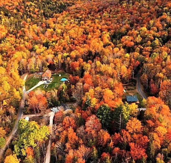 2026 Fall Foliage: When Leaves Will Peak Across the US